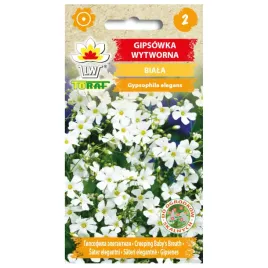 gipsowka-wytworna-biala-1g