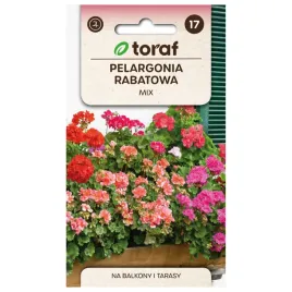 pelargonia-rabatowa-mix-01g