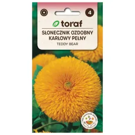 slonecznik-ozdobny-pelny-teddy-bear-2g