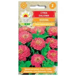 cynia-daliowa-rozowa-1g