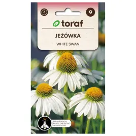 jezowka-biala-white-swan-02g