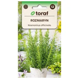 rozmaryn-01g