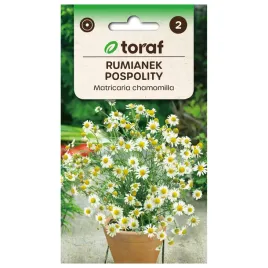 rumianek-pospolity-05g