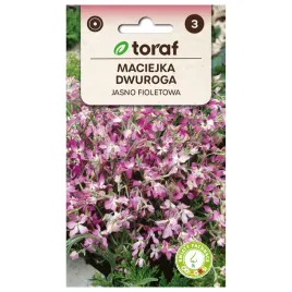 maciejka-dwuroga-jasnofioletowa-3g