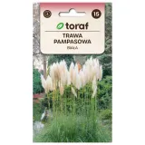 trawa-pampasowa-biala-01g