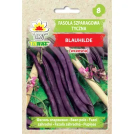 fasola-szparagowa-tyczna-fioletowa-blauhilde-10g