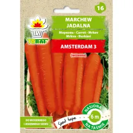 marchew-amsterdam-3-tasma-6m