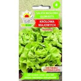 salata-maslowa-glowiasta-krolowa-majowych-2g