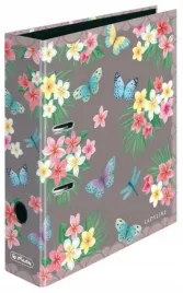 segregator-a4-8cm-ladylike-butterflies-max-file