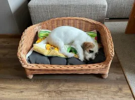 legowisko-wiklinowe-lezak-sofa-dla-psa-kota-60cm