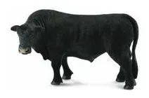 byk-czarny-angus-collecta