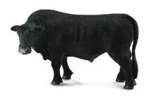 byk-czarny-angus-collecta
