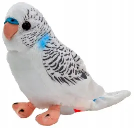 papuga-falista-biala-13cm