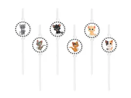 slomki-urodzinowe-kotki-6-szt