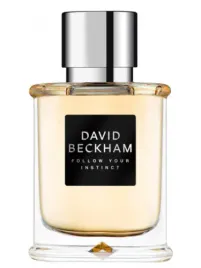 david-beckham-follow-your-instinct-edt-50-ml-tester