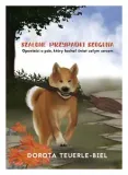 szalone-przypadki-szoguna