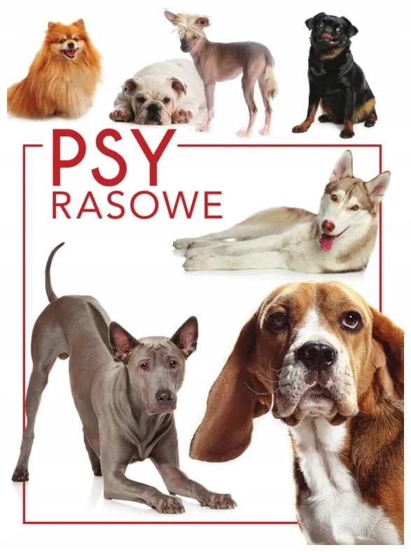 psy-rasowe-izabela-przeczek