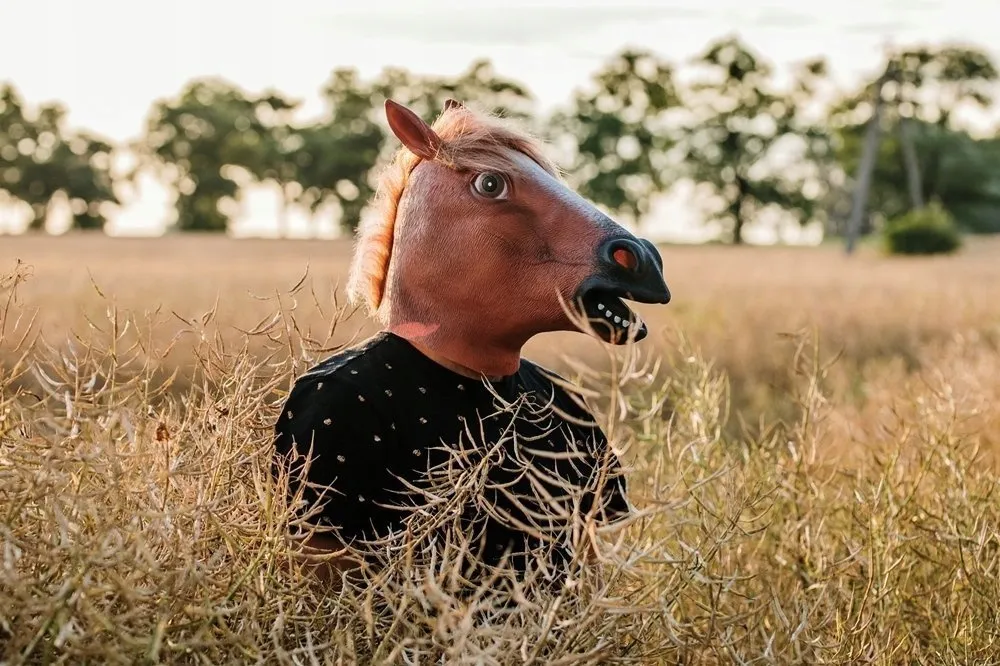 maska-konia-stan-nowy