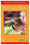 factual-busy-as-a-bee-1