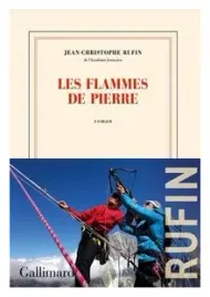 flammes-de-pierre-literatura-francuska-rufin
