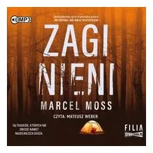 cd-mp3-zaginieni