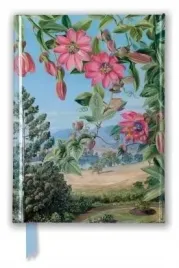 notatnik-a6-linia-tw-widok-w-ogrodzie-brisbane-kew