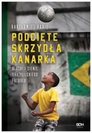 podciete-skrzydla-kanarka-bartlomiej-rabij