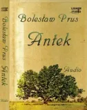 antek-stan-nowy