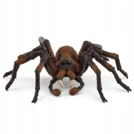 aragog-wizarding-world