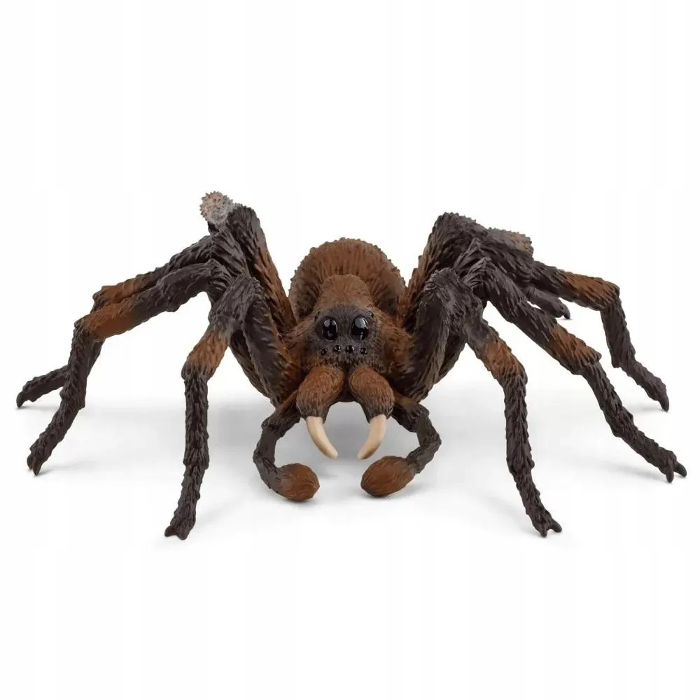 aragog-wizarding-world