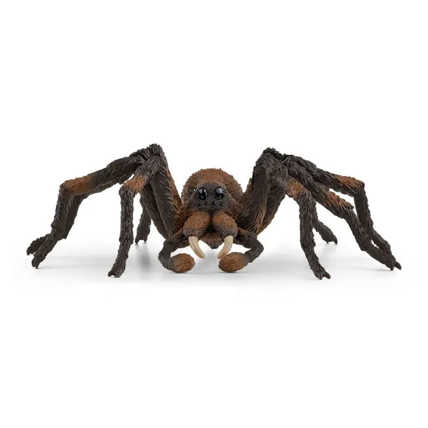 aragog-wizarding-world-plec-chlopcy-dziewczynki