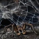 aragog-wizarding-world-marka-schleich
