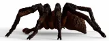 aragog-wizarding-world-typ-figurka