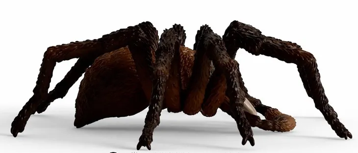aragog-wizarding-world-stan-opakowania-oryginalne