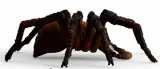 aragog-wizarding-world-stan-opakowania-oryginalne