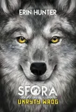 sfora-t-2-ukryty-wrog