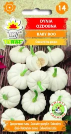 dynia-ozdobna-baby-boo-nasiona-2g-toraf-46