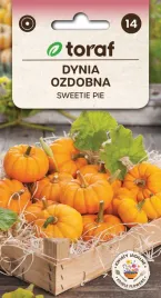 dynia-ozdobna-sweetie-pie-nasiona-2g-toraf-45