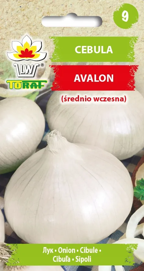 cebula-biala-avalon-nasiona-3g-toraf-20
