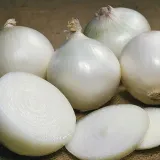cebula-biala-avalon-nasiona-3g-toraf-20-rodzaj-rosliny-cebula