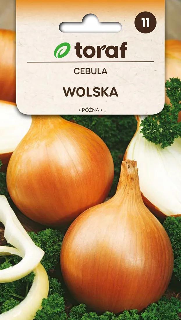cebula-wolska-nasiona-4g-toraf-28