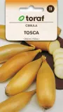cebula-tosca-nasiona-2g-toraf-26