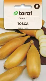 cebula-tosca-nasiona-2g-toraf-26
