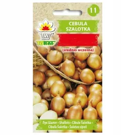 cebula-szalotka-ambition-nasiona-20-szttoraf-25