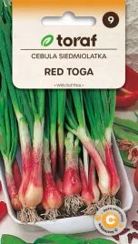 cebula-siedmiolatka-red-toga-nasiona-1g-toraf-24
