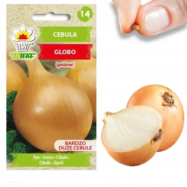 cebula-globo-nasiona-3g-toraf-22-kod-producenta-1020