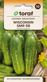 ogorek-gruntowy-wisconsin-smr-58-do-kwaszenia-i-konserwowania-5g-toraf-141