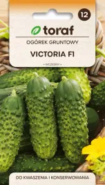 ogorek-gruntowy-victoria-f1-do-kwaszenia-i-konserwowania-5g-toraf-140