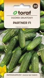 ogorek-gruntowy-gruntowy-partner-f1-owoce-bez-nasion-nasiona-2g-toraf-138