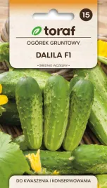 ogorek-gruntowy-dalila-f1-do-kwaszenia-i-kiszenia-nasiona-5g-toraf-136